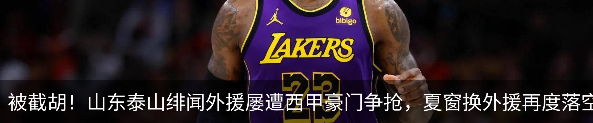 新闻动态