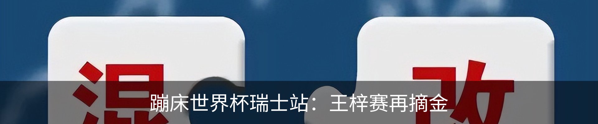 新闻动态