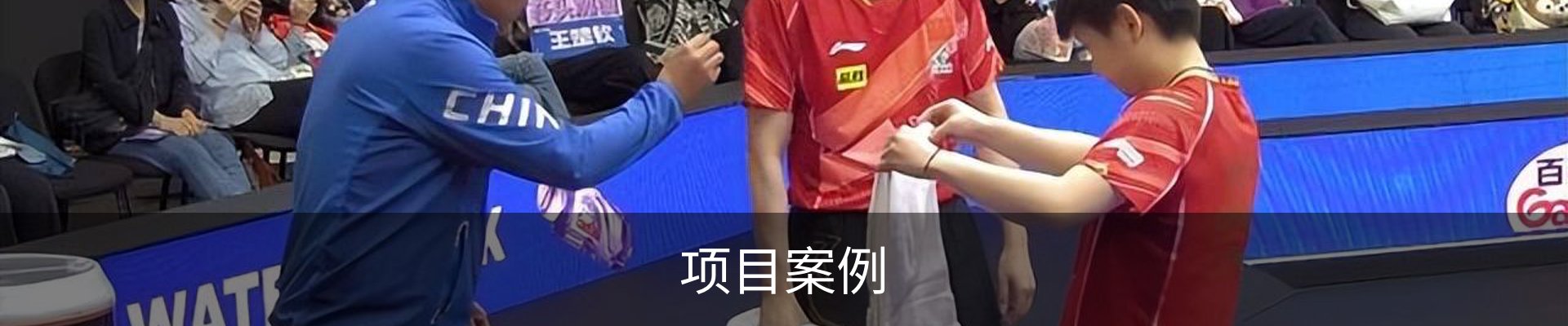 项目案例